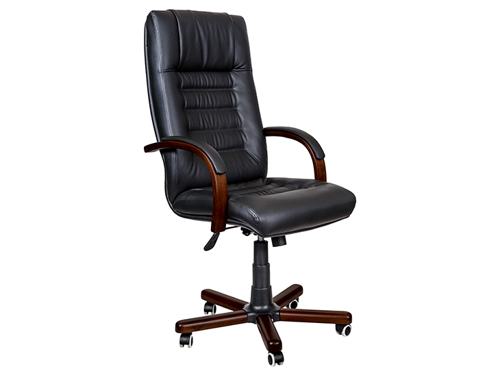 Кресло для руководителя Pointex Мира (Myra) A
