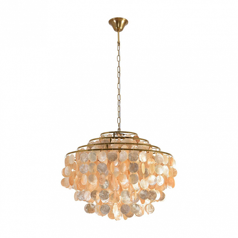 Подвесная люстра LUMION SHELLA 8386/6