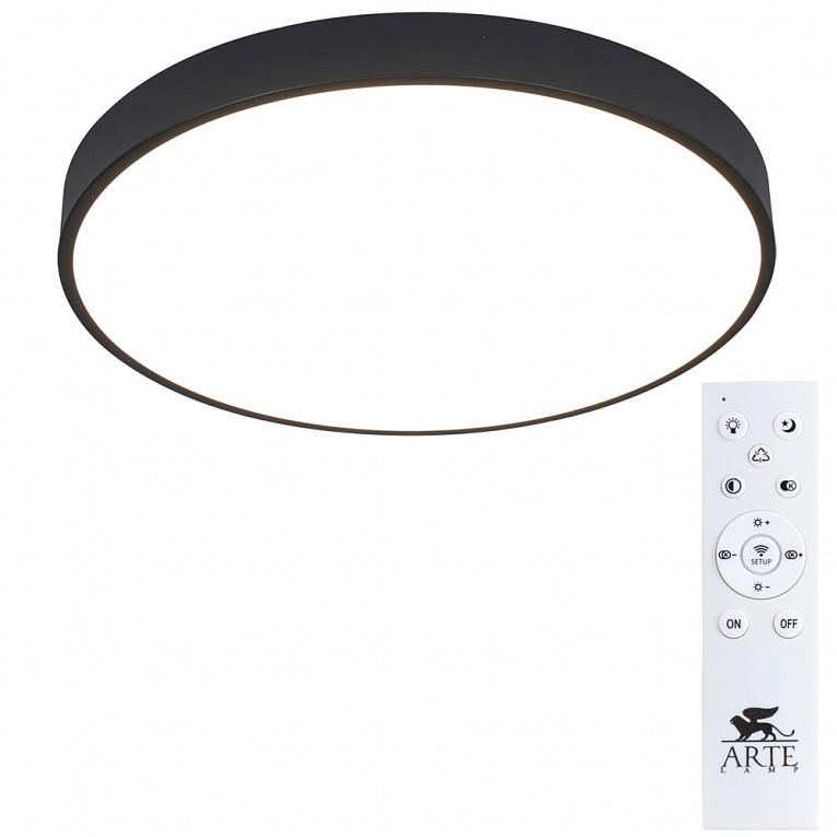 Потолочный светильник ARTE LAMP ARENA A2672PL-1BK