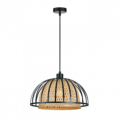 Подвесной светильник ARTE LAMP WOODSTOCK A7071SP-1BK